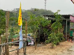 -荔枝红五号农庄
