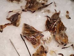 -鼎香缘海鲜自助火锅烤肉(锦辉购物广场店)