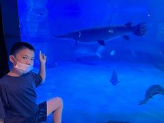 -烟台海昌鲸鲨海洋公园