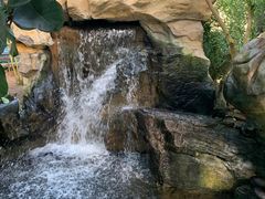 -南山植物园