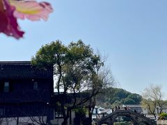 -鲁镇