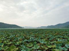 -东钱湖旅游度假区