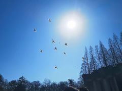 -音乐台