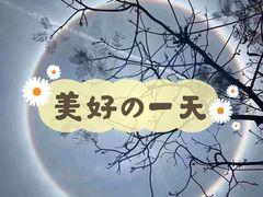 -老湘亲·品鉴湘菜(湖里店)