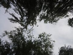 -廊坊文化艺术中心