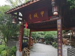 -青城甲(青城山店)