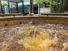 -春晖园度假酒店温泉