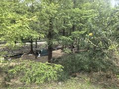 -白水寺森林公园