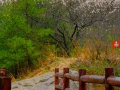 -秦岭终南山世界地质公园翠华山景区