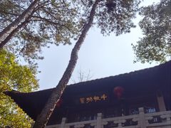 -梦姑塘文化公园