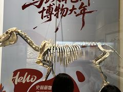 -国家自然博物馆