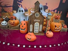 -华谊兄弟（长沙）电影小镇