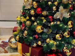 -广州富力丽思卡尔顿酒店