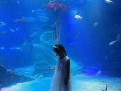 -沈阳海洋探索中心