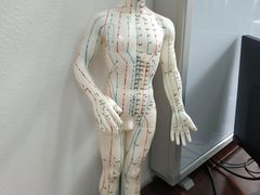 -大通中医馆