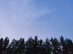 -滨湖塘西河公园