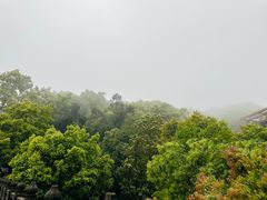 -南山植物园