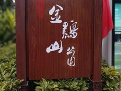 -金鸡山公园