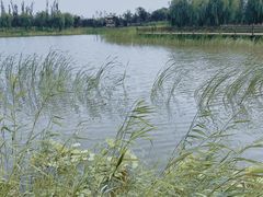 -张家湾公园