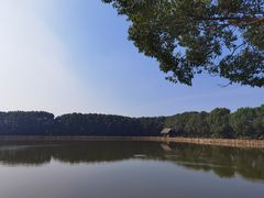 -广富林郊野公园