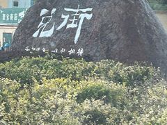 -特克斯八卦城