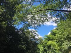 -藏龙百瀑风景区