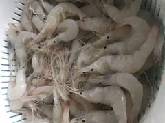 -芦潮港集贸市场