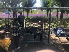 -北戴河集发农业梦想王国