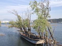 -洱海月湿地公园