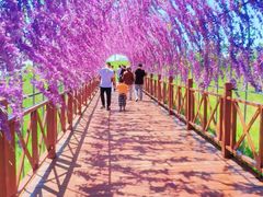 -草原天路(张北县)