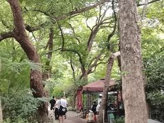 -吴山景区
