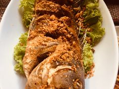-自然餐厅(Phuket)