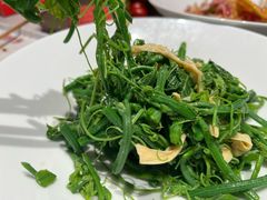-杨氏青龙虾·羊蝎子(托乐嘉店)