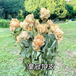-小梨·OndaPro·专业脱毛连锁机构