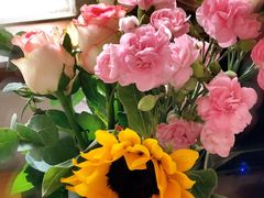 -英孚教育青少儿(福田区委中心)