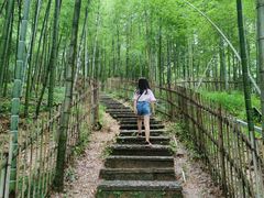 -宁波浙东大竹海景区