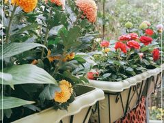 -BOCATA 西班牙餐厅(三里屯店)