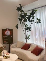 -WENDY·温迪皮肤管理