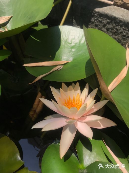 放鹰台遗址图片