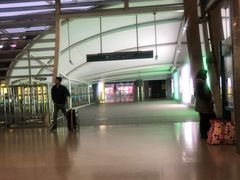 -龙阳路磁悬浮列车总站-停车场