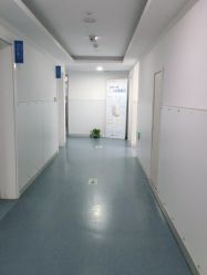 -温州伯思立医院