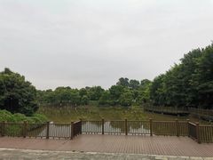 -张坝桂圆林公园