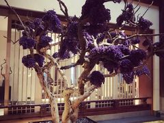 -西安华清御汤酒店