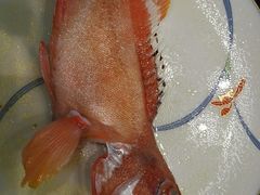 -潮汕味道·煮海餐厅(金麟大厦店)