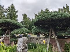 -水绘园