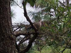 -敬亭山风景名胜区