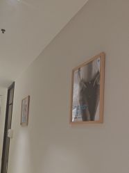 -美丽妈妈产后恢复中心(南桥旗舰店)