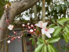 -扬州市茱萸湾风景区