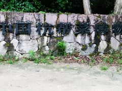 -西湖风景区-江洋畈生态公园