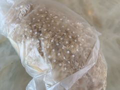 -长发西饼(道前店)